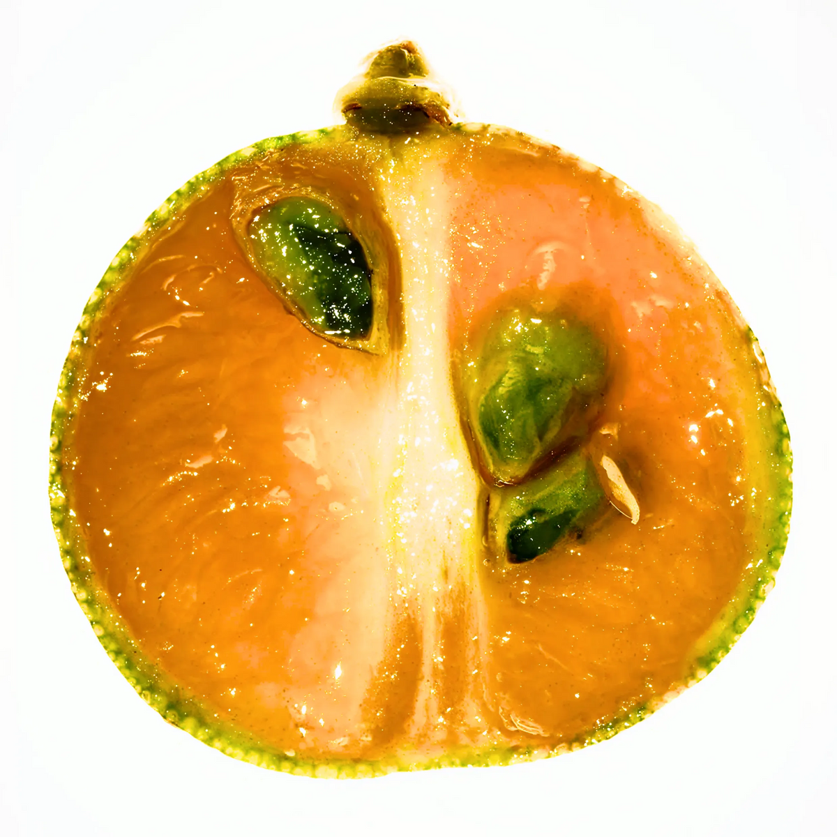 Sliced calamansi on a white background